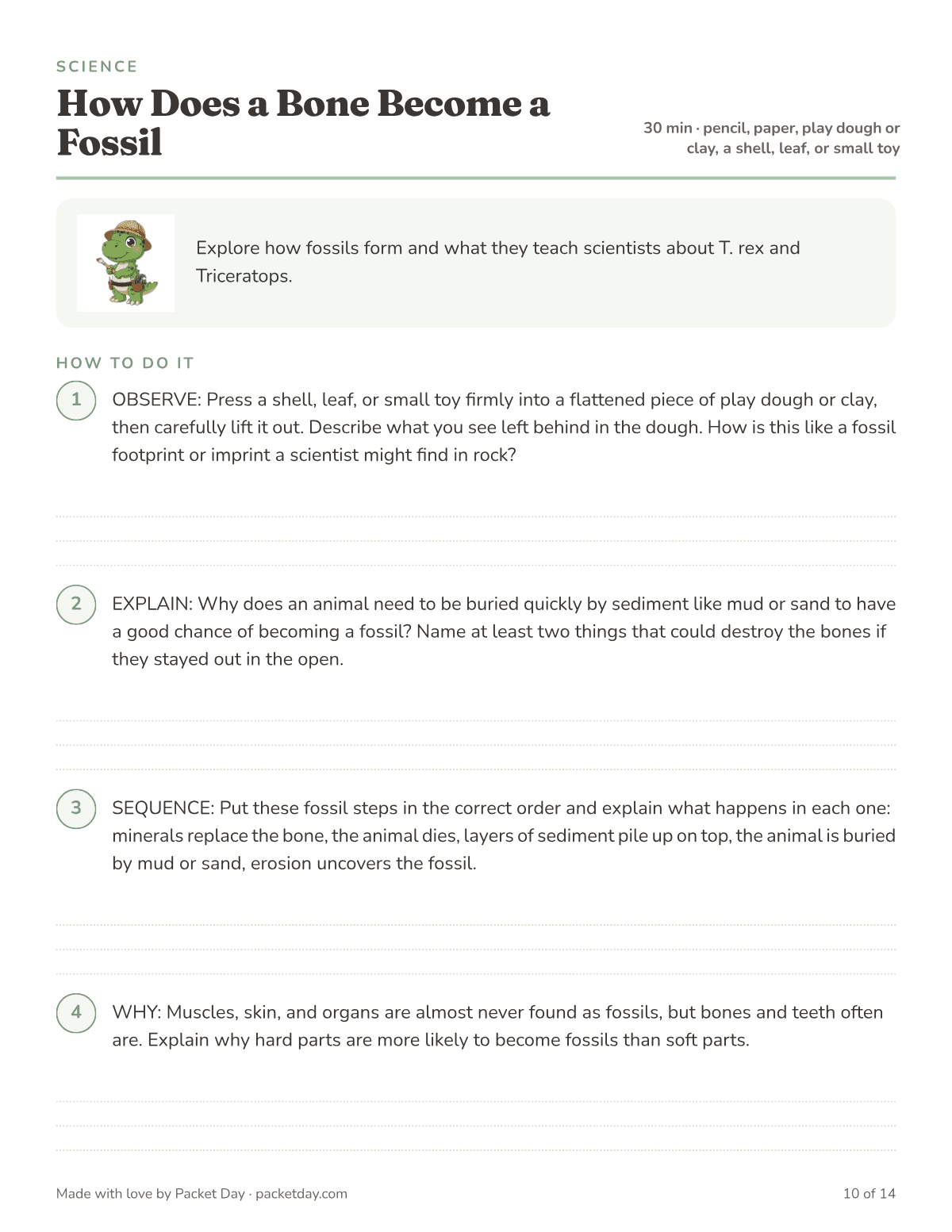 Science page, How Does a Bone Become a Fossil: press a shell or toy into play dough, explain why quick burial matters, put the five fossil steps in order, and explain why hard parts fossilize more often than soft parts.